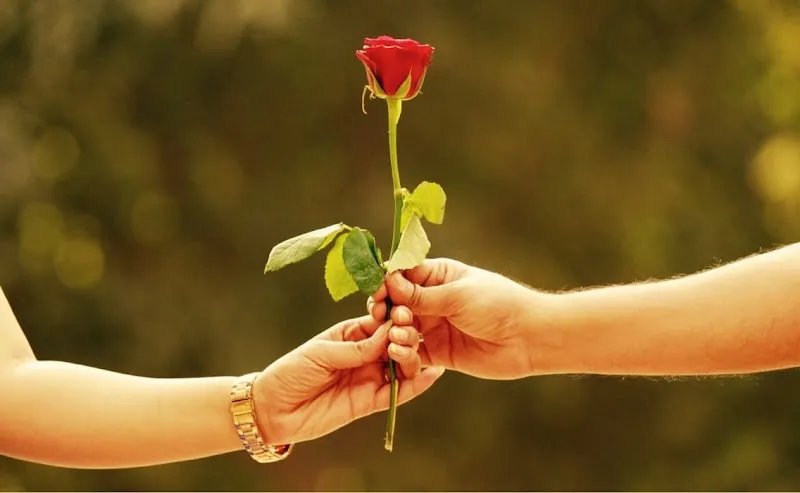 Rakesh photography
