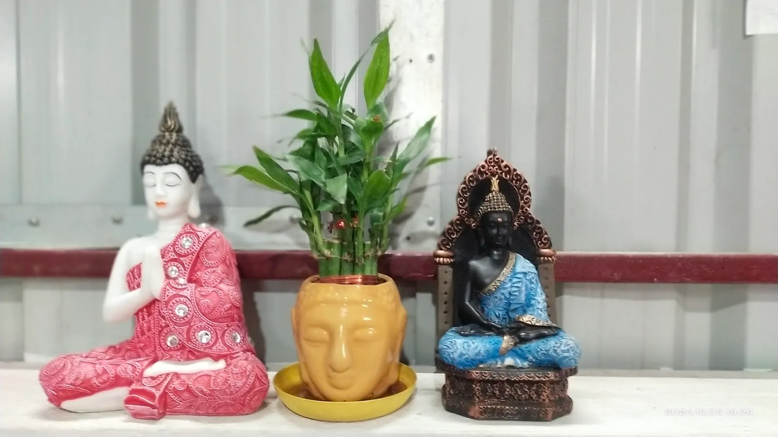 Tender Yoga Studio