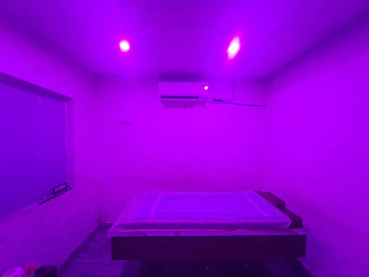 Jaipur Thai Spa - massage night spa centre nearby spa jaipur