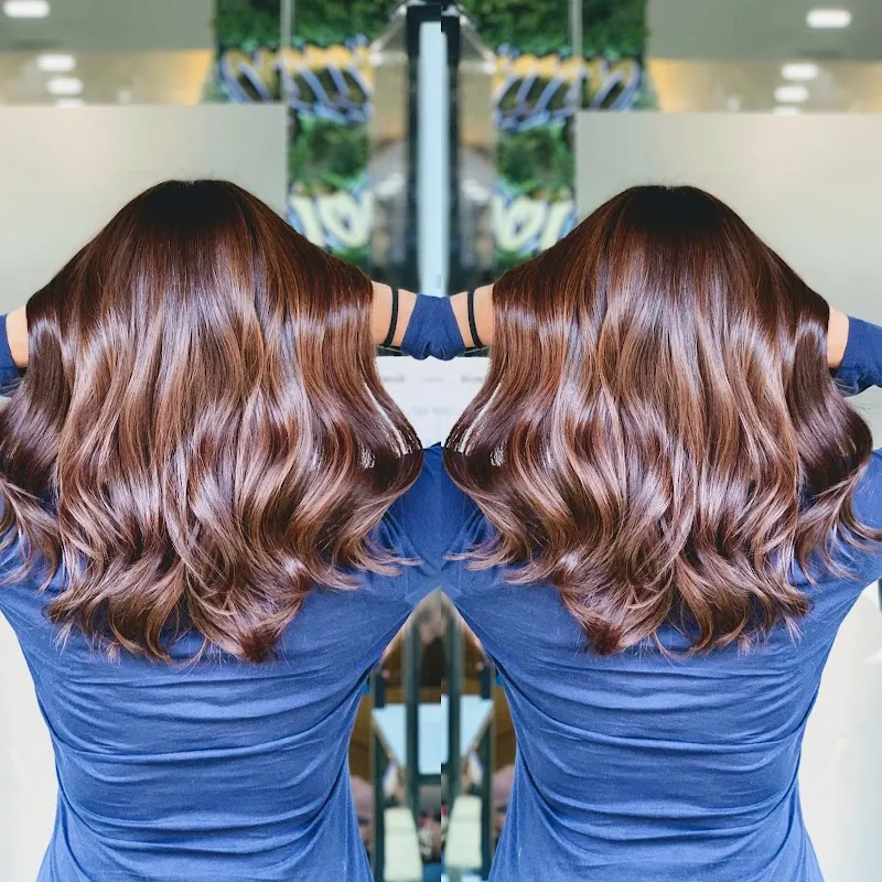 SUNNYHAIRPORT