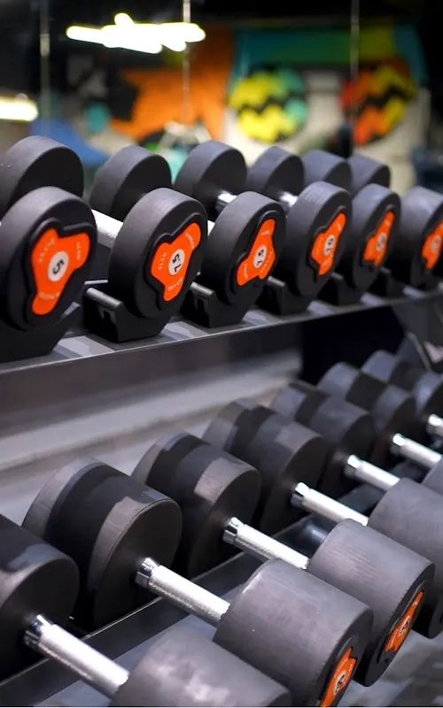 HR7 Fitness