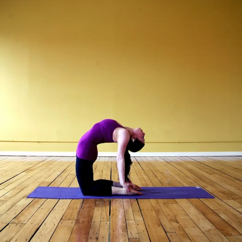 Ancient Vedic Yoga