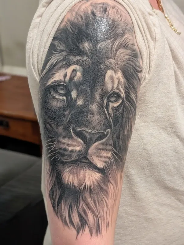 INKNATION STUDIO