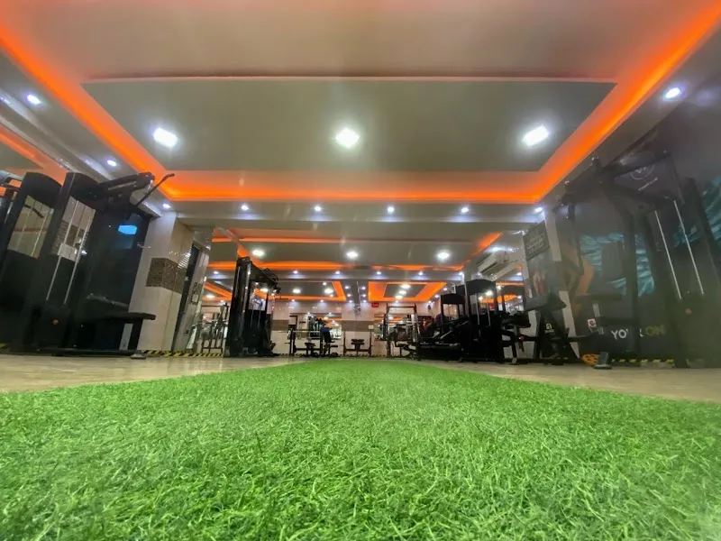 Shapes Of You Fitness Club