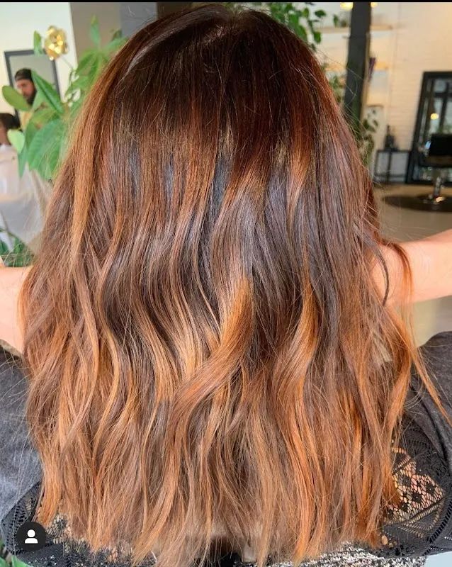 Fleur Organic Salon of Barrington