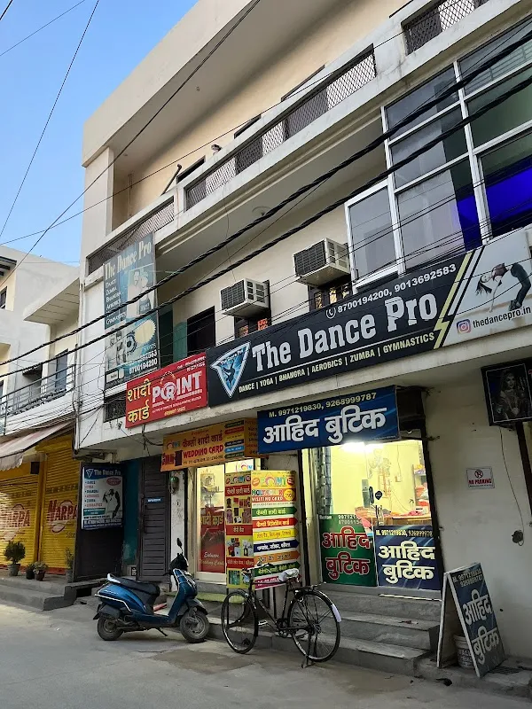 THE DANCE PRO