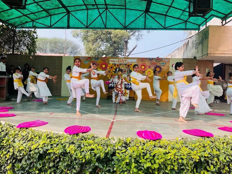 THE DANCE PRO