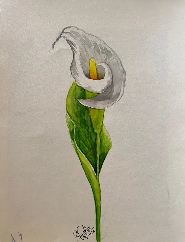 Rashmi Art classes