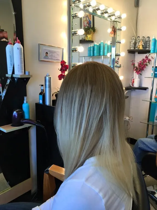 Le Hair Design Salon