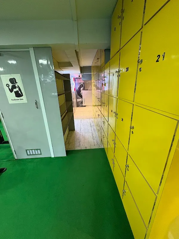 D Ultimate Gym