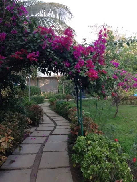 Fire Mountain Retreat & Ayurveda