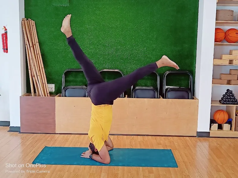 HAMSA Yoga Studio - JP Nagar 7th Phase | Yoga Class in JP Nagar | Weight Loss Yoga | Yoga TTC