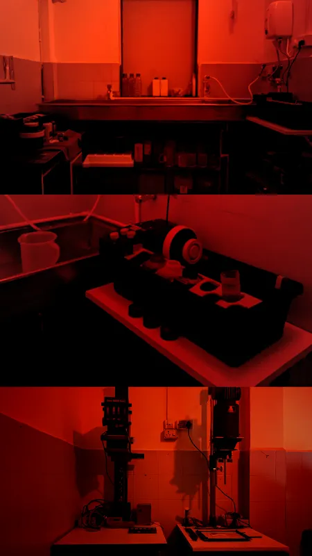 Zhenwei Film Lab