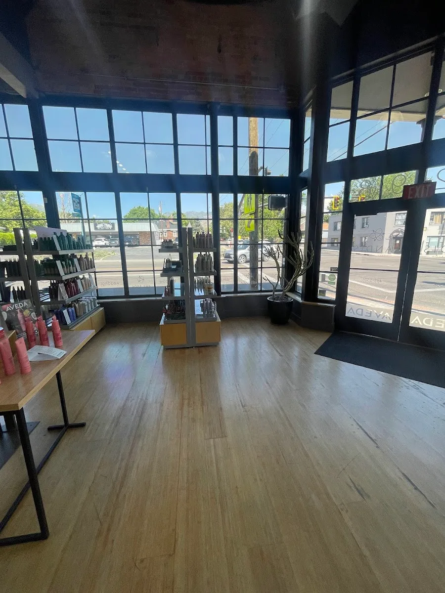 Landis Lifestyle Salon