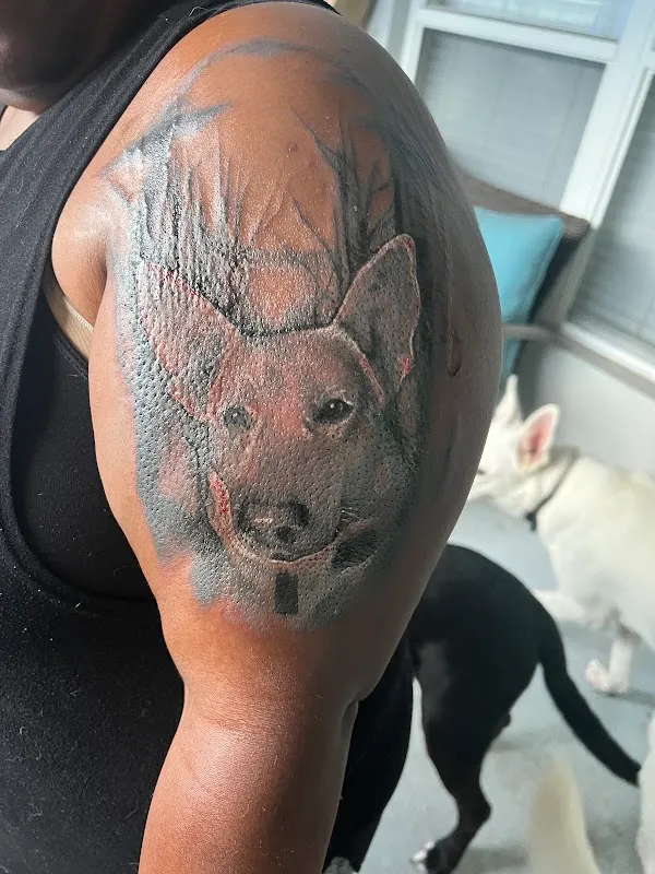 Luxe Tattoo Studio