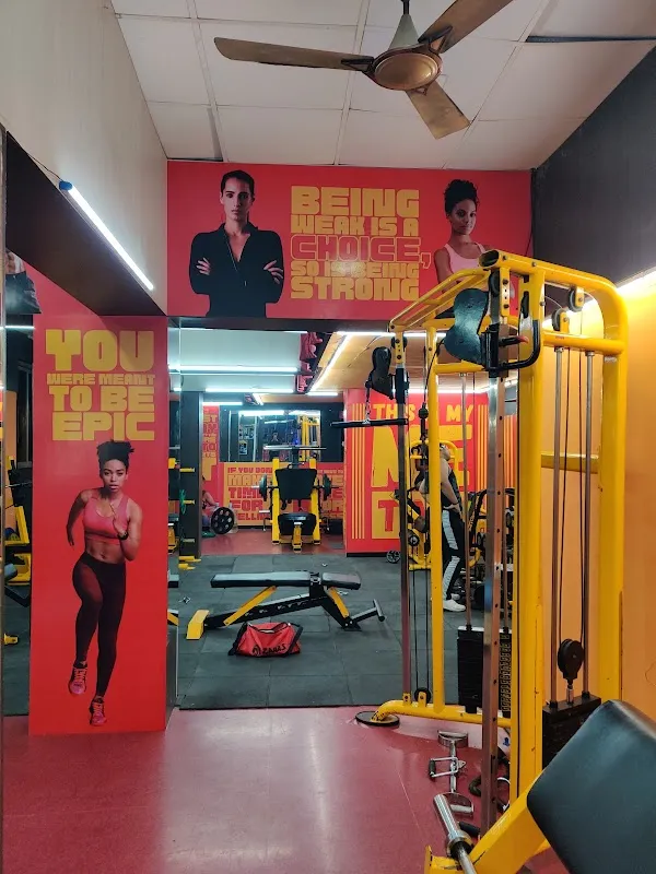 Zara's Fitness