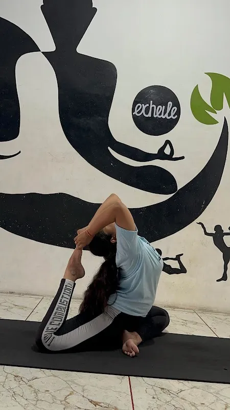 Om The Third Eye Yoga Ghodasar