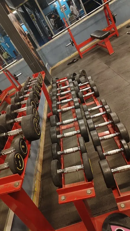 TEAM MUSCLE FITNESS GYM - best gym in Bowenpally