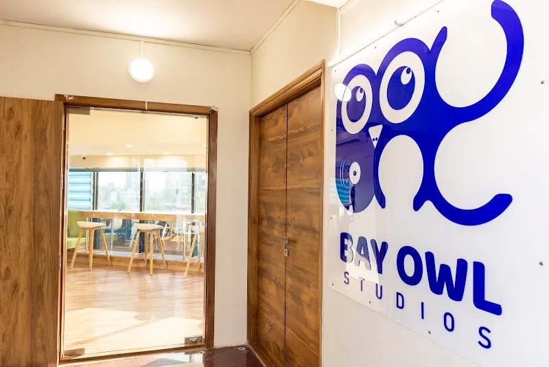 Bay Owl Studios