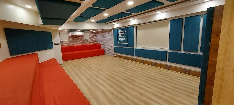 Bay Owl Studios