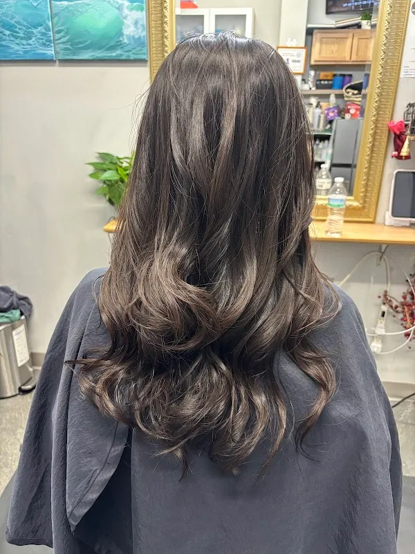 Sarah's Hair Salon 세라스 헤어 살롱 캐리