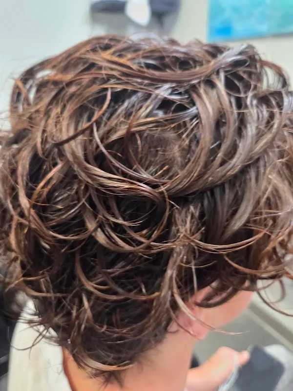 Sarah's Hair Salon 세라스 헤어 살롱 캐리