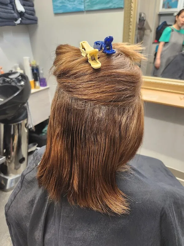 Sarah's Hair Salon 세라스 헤어 살롱 캐리