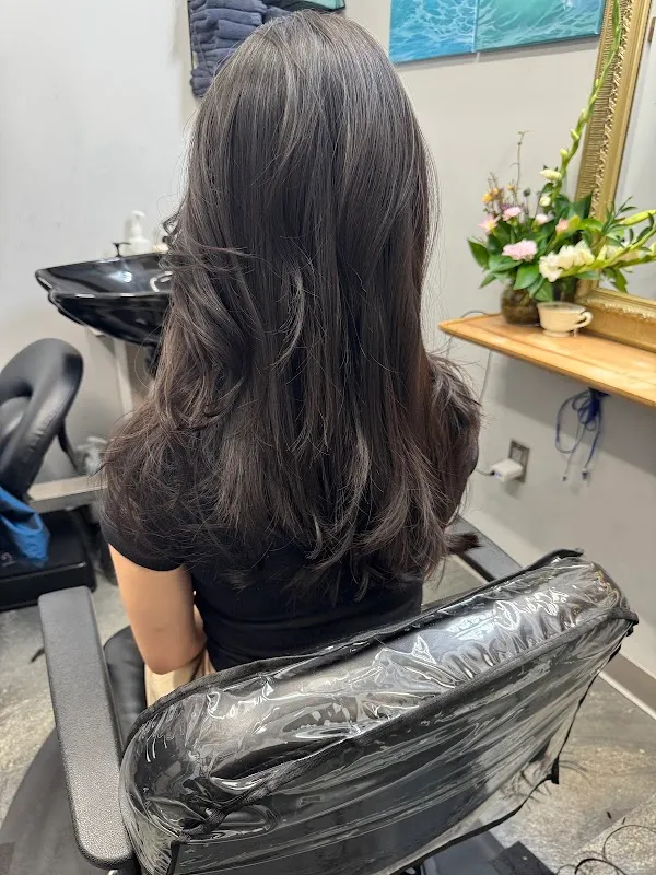 Sarah's Hair Salon 세라스 헤어 살롱 캐리
