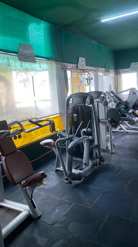 Sanjeevani Wellness