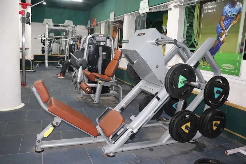 Sanjeevani Wellness