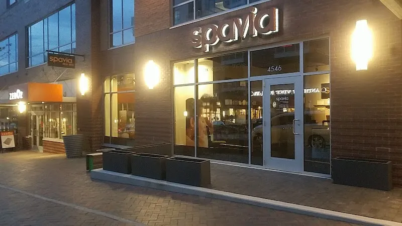 Spavia Bridge Park