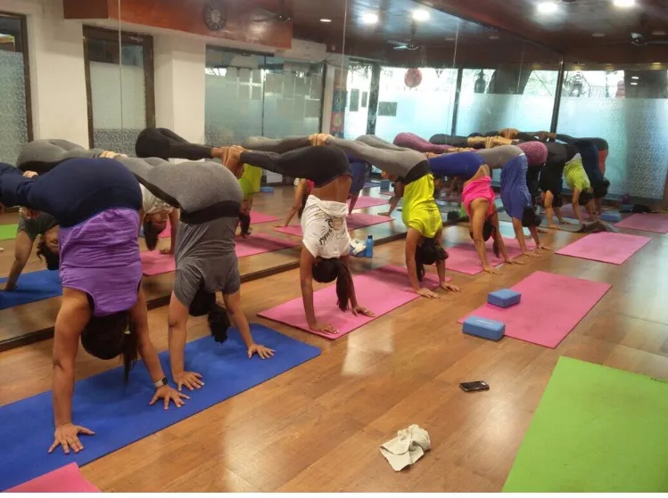 GoFigure Fitness India