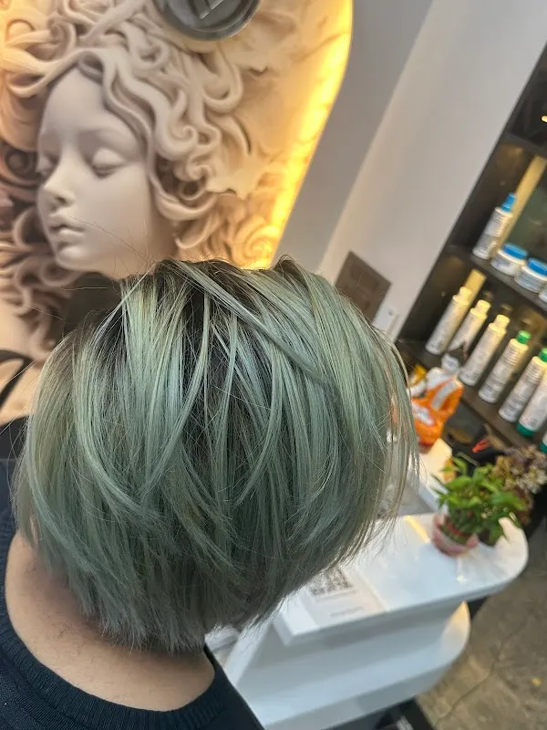 RAEVIA STUDIO ( salon )