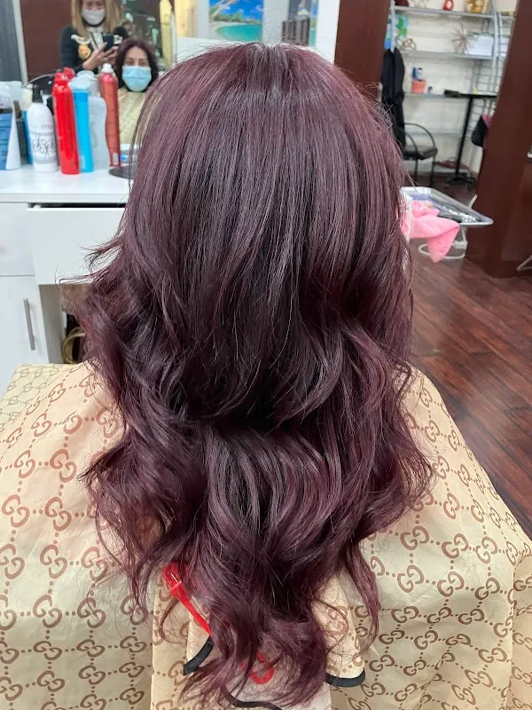 Hair Salon 22
