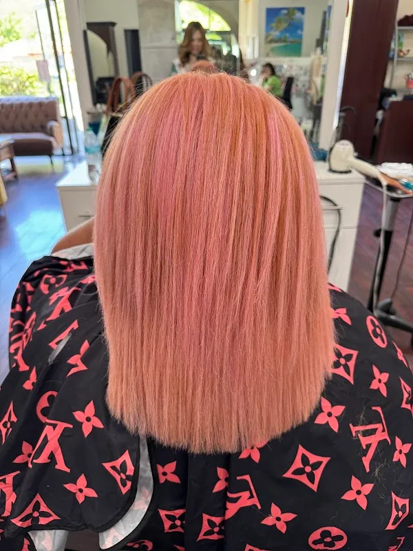 Hair Salon 22