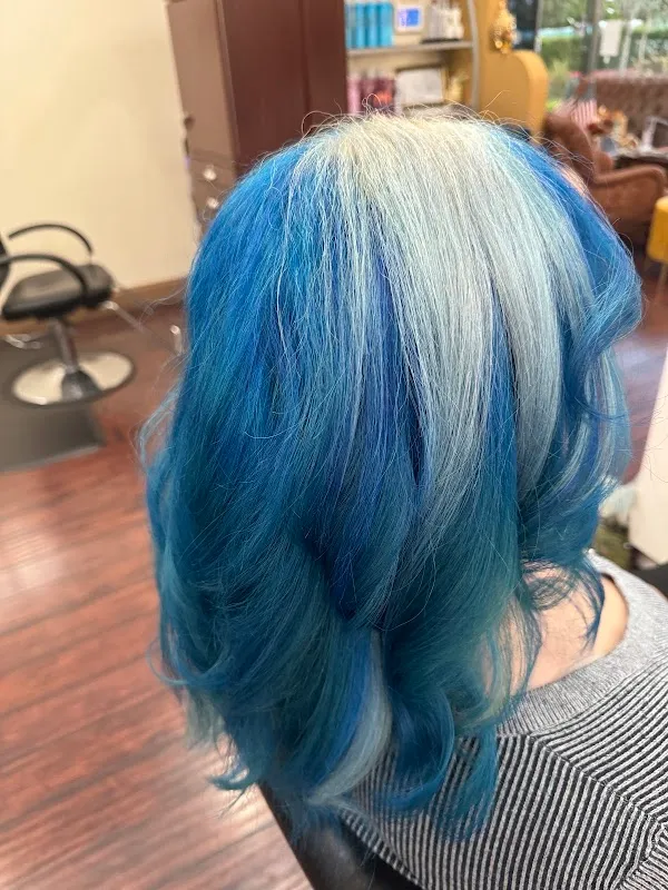Hair Salon 22