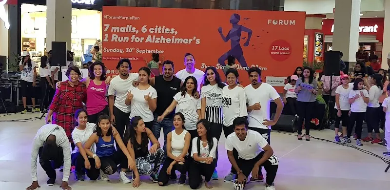 Zealers Dance Studio