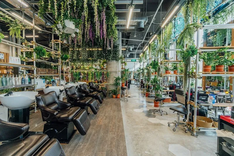 Walking On Sunshine | Korean Hair Salon