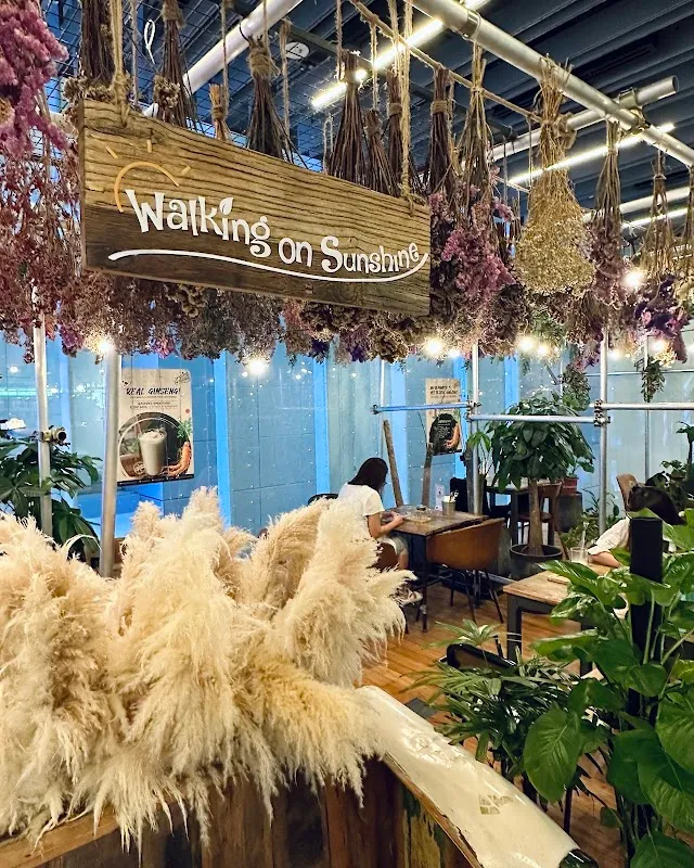 Walking On Sunshine | Korean Hair Salon