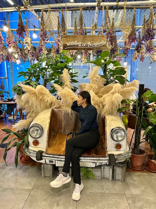 Walking On Sunshine | Korean Hair Salon