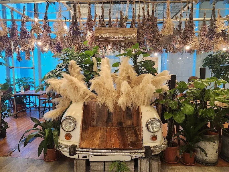 Walking On Sunshine | Korean Hair Salon