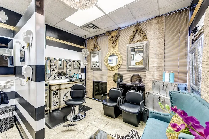 Salon Meyerland - Natural and Relaxed Black Hair in Houston