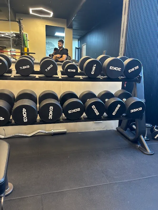 FIT ELEVEN