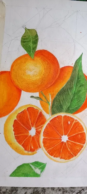 सप्तRगं ART STUDIO & DRAWING CLASSES