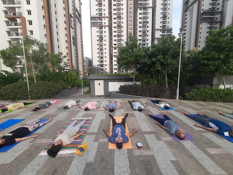 Vishuddhi Yoga Studio