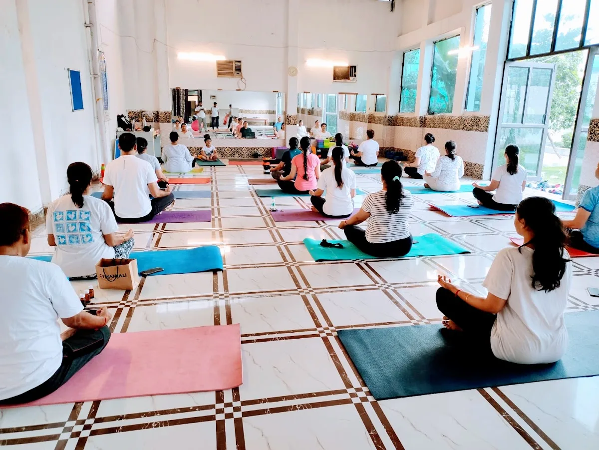 YogaDhani108 - A House of traditional yoga, Aerial yoga and power Yoga