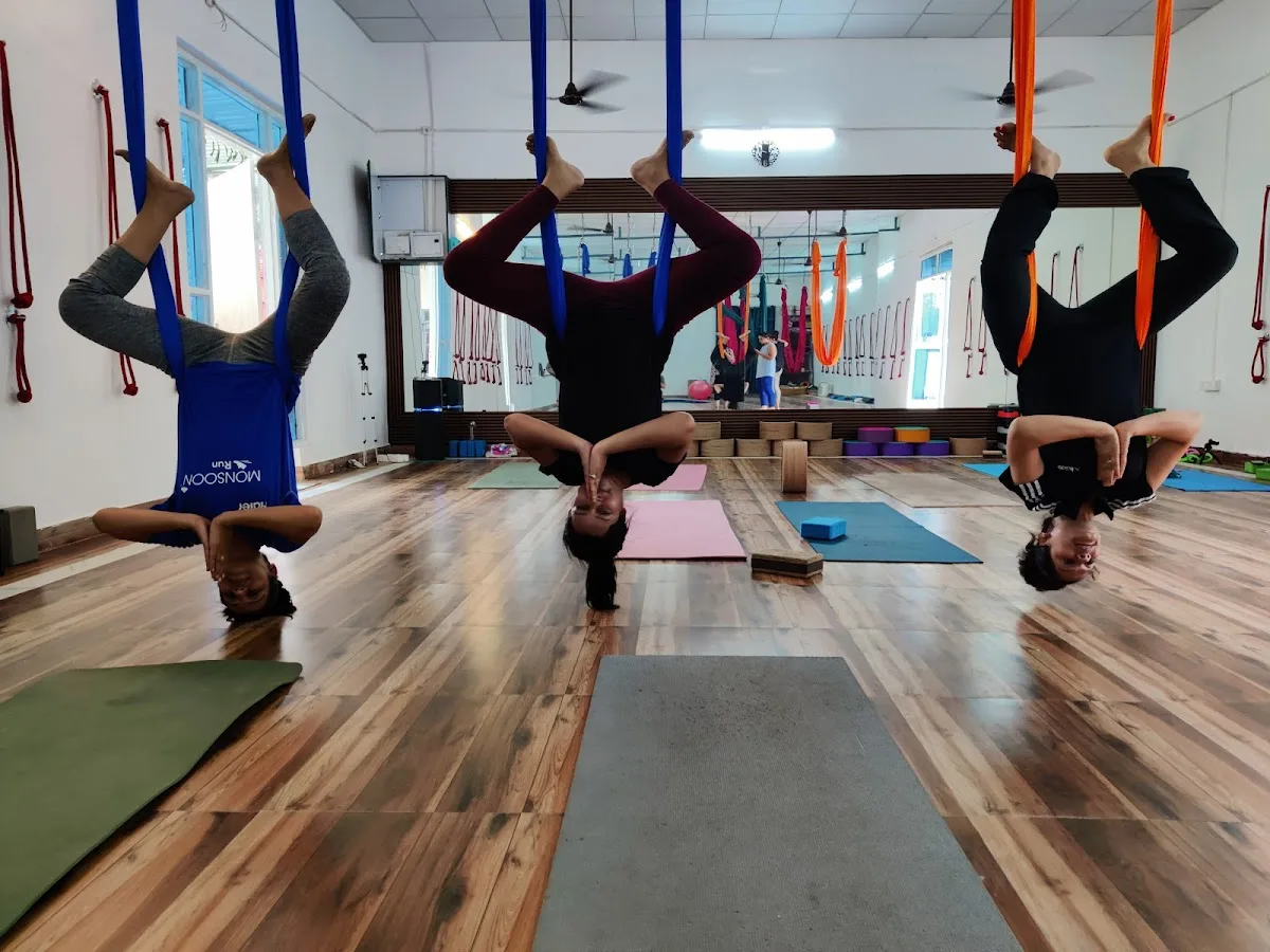 YogaDhani108 - A House of traditional yoga, Aerial yoga and power Yoga