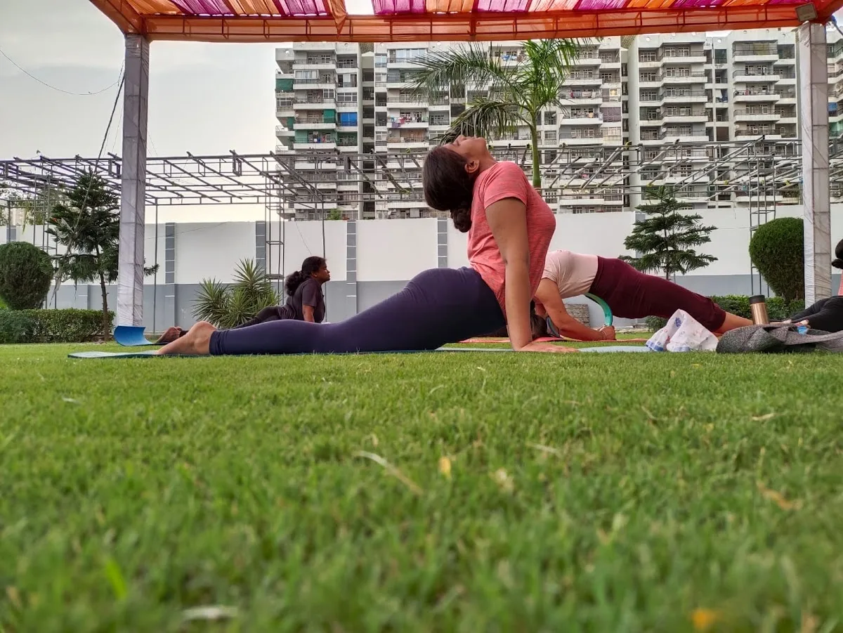 YogaDhani108 - A House of traditional yoga, Aerial yoga and power Yoga