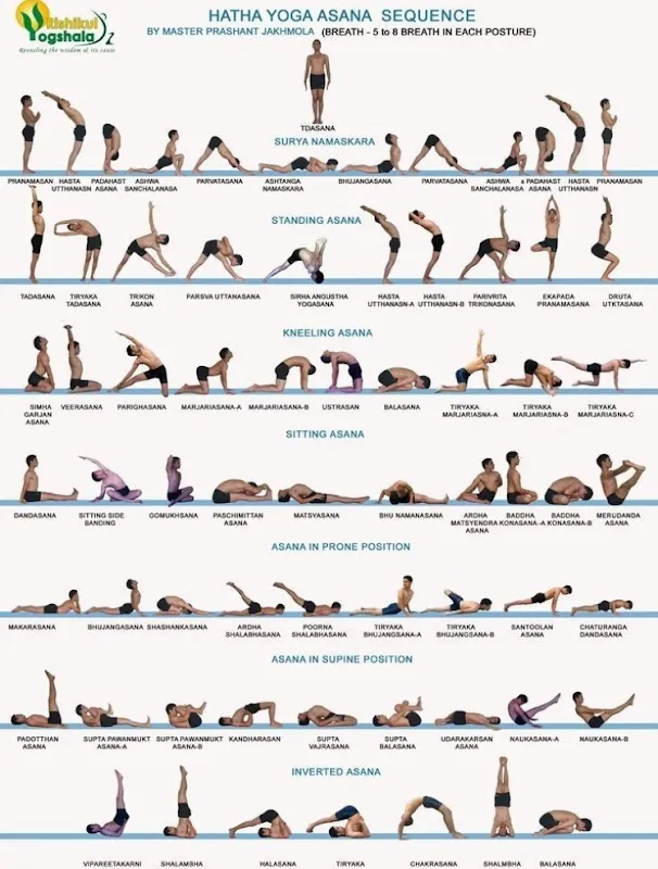 The Happy Chakra Yoga