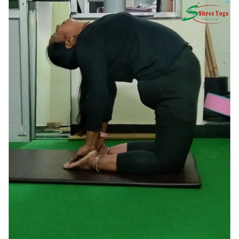 Shree Yoga -Brahmpuri